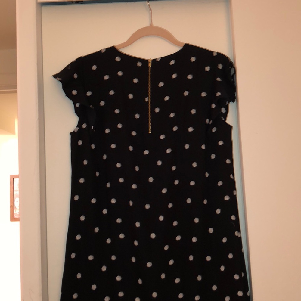 Adrienne Vittadini Polka- Dot Shift Dress - Picture 4 of 4